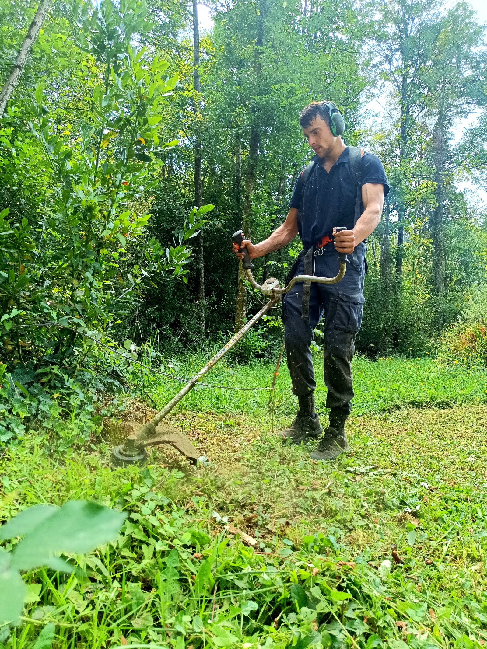 Desbroces de fincas y terrenos en Bizkaia