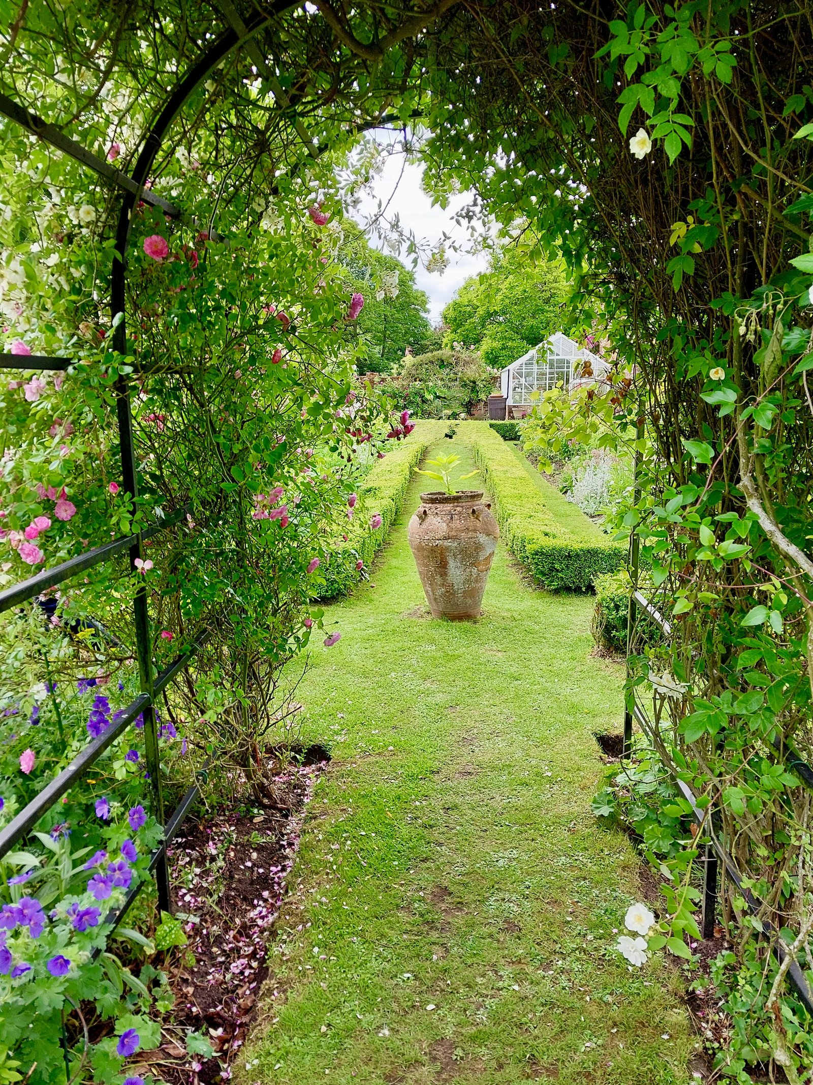 Jardín con vegetación y camino entre plantas