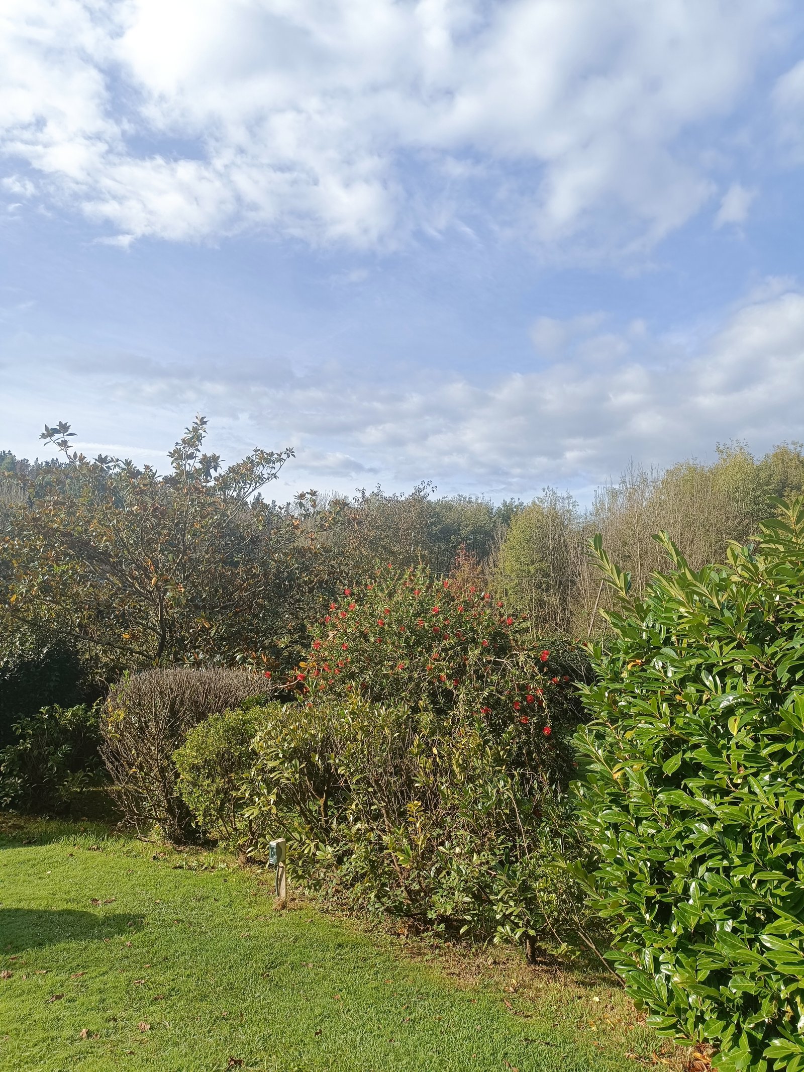 Mantenimiento de jardines en Bizkaia